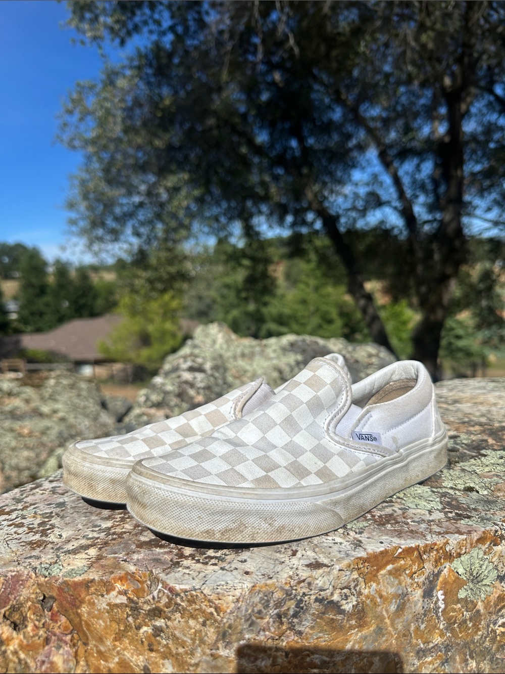 Vans Slip-On Checkerboard Sneakers in White and Light Gray